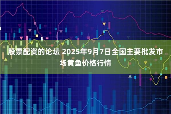 股票配资的论坛 2025年9月7日全国主要批发市场黄鱼价格行情